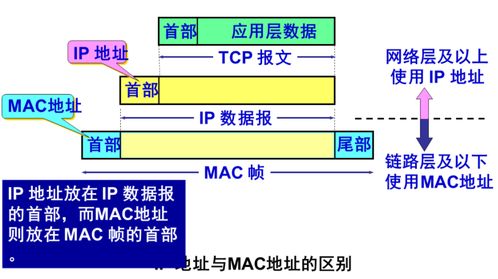 計算機網絡筆記整理 網絡層